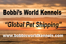 Bobbi's World, Inc.